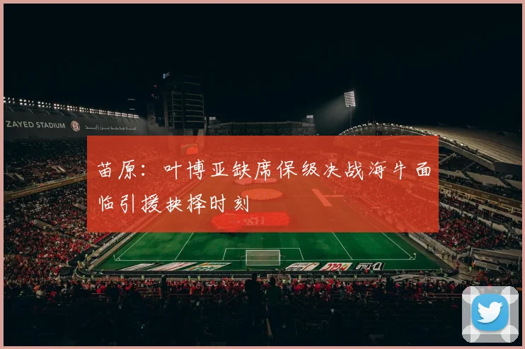 苗原：叶博亚缺席保级决战海牛面临引援抉择时刻